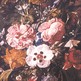 NATURES-MORTES